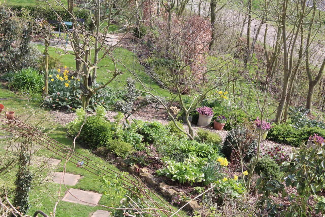 مبيت وإفطار Maheru Au Jardin Des Violettes المظهر الخارجي الصورة